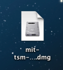 downloaded TSM disk image