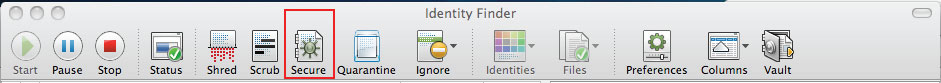 Secure icon