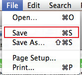 File menu options